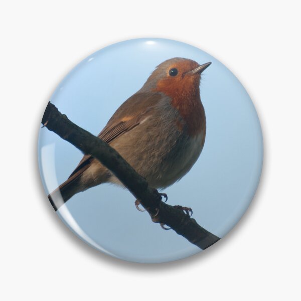 Item preview, Take two Robins designed and sold by LorrieBee.