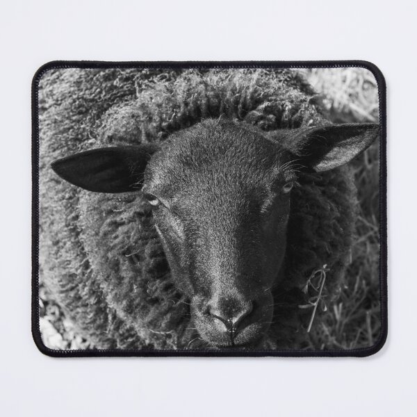 Item preview, Curious Sheep, Black and White designed and sold by Imladris01.