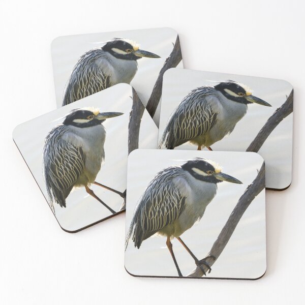 Item preview, Yellow-crowned Night Heron Resting On A Branch designed and sold by Debra Martz.