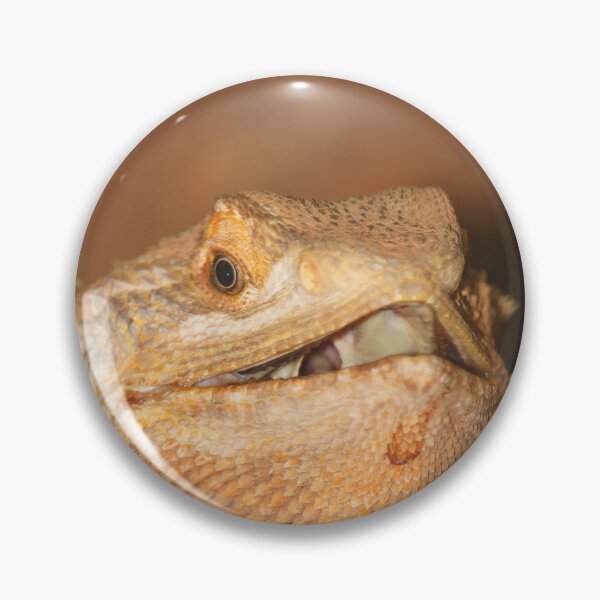 Item preview, Lizard nature lovers vertical exploris  designed and sold by eddiebarronshop.