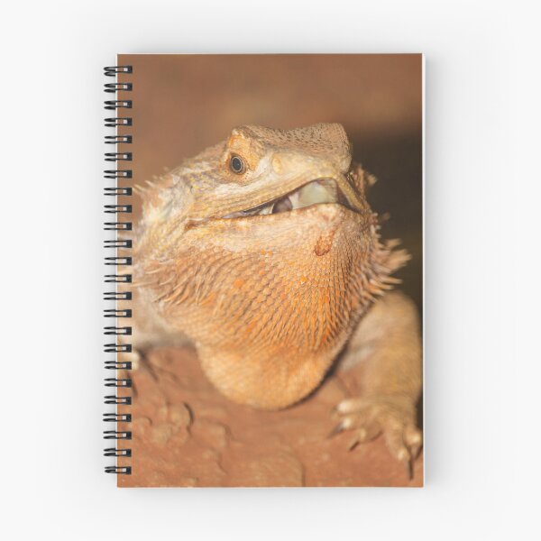 Item preview, Lizard nature lovers vertical exploris  designed and sold by eddiebarronshop.