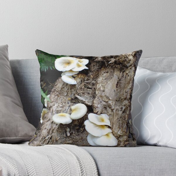 Item preview, On the Forest Floor Bunya Mountains Qld Australia designed and sold by sandysartstudio.