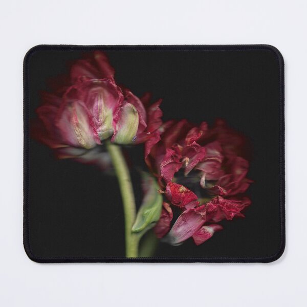 Item preview, 2 Tulips Wilting In The Dark designed and sold by lmocimages.