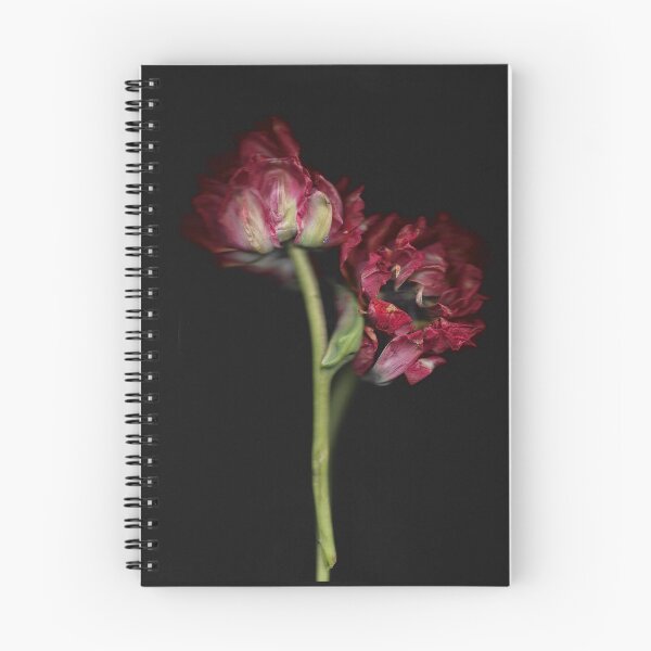 Item preview, 2 Tulips Wilting In The Dark designed and sold by lmocimages.