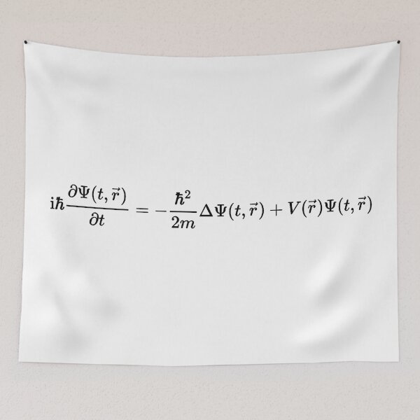 Item preview, Schrodinger equation, quantum physics basics designed and sold by NoetherSym.