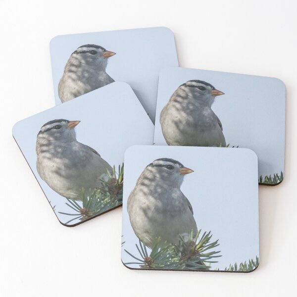 Item preview, A White-crowned Sparrow On A Tree Branch designed and sold by FreelanceJim.
