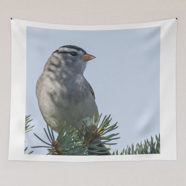 Item preview, A White-crowned Sparrow On A Tree Branch designed and sold by FreelanceJim.