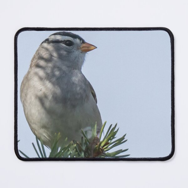 Item preview, A White-crowned Sparrow On A Tree Branch designed and sold by FreelanceJim.