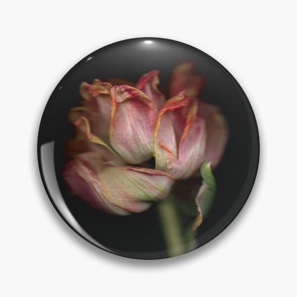 Item preview, Single Wilting Tulip In The Dark designed and sold by lmocimages.