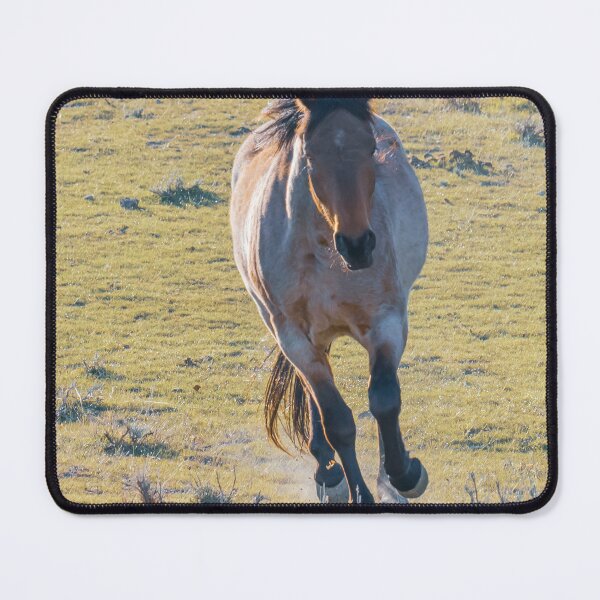 Item preview, A Young Stallion Running In The Field designed and sold by FreelanceJim.