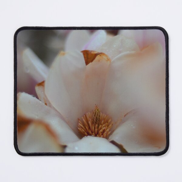 Item preview, Magnolias designed and sold by kry.ative.