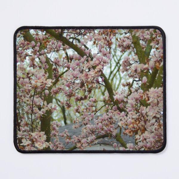 Item preview, Magnolia Trees designed and sold by kry.ative.