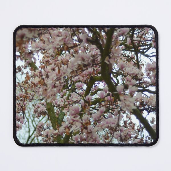 Item preview, Magnolia Trees designed and sold by kry.ative.