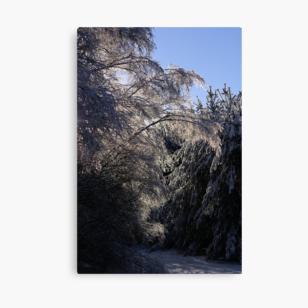 Item preview, Winter Path designed and sold by R Outram.