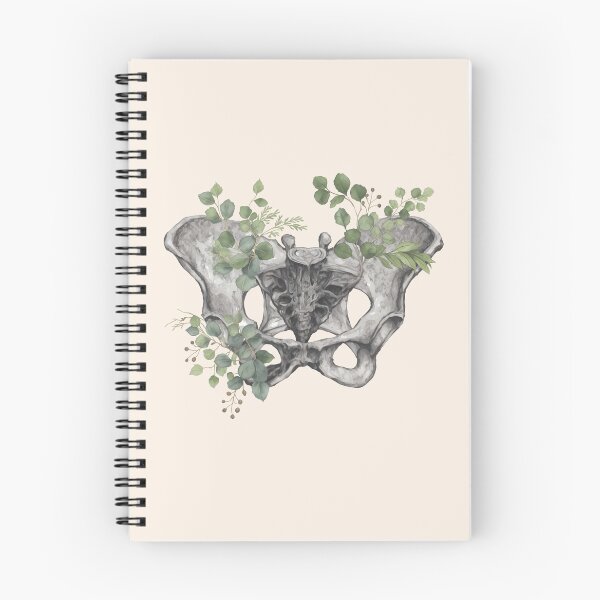 Item preview, Female pelvis, feminism, anatomy, anatomical art, female bones of the pelvis, Eucaliptus leaves anatomy  designed and sold by Collagedream.