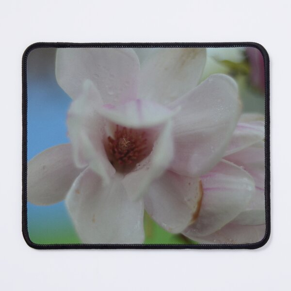 Item preview, Magnolias designed and sold by kry.ative.