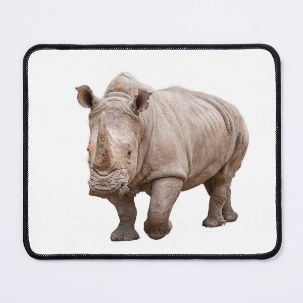 Item preview, African White Rhino Coming at ya without background designed and sold by JulieAnnPix.