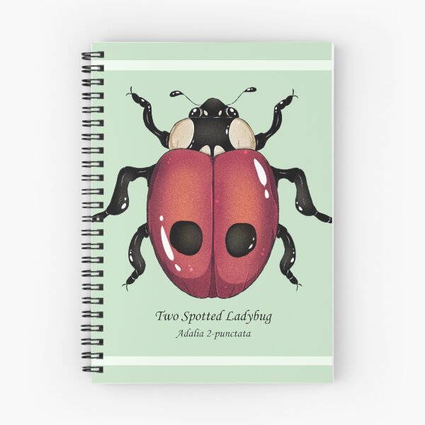 Item preview, two spotted ladybug designed and sold by dinosaphira99.