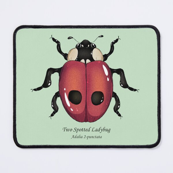 Item preview, two spotted ladybug designed and sold by dinosaphira99.