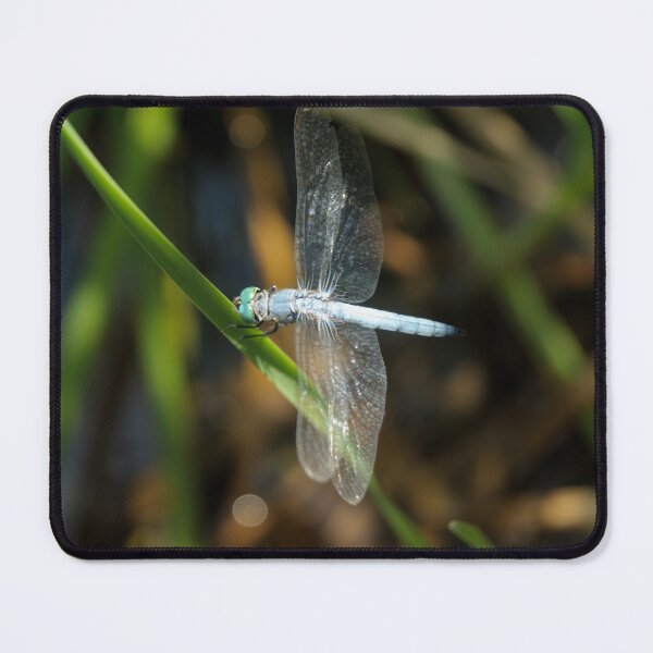 Item preview, Blue Dasher designed and sold by ptosis.