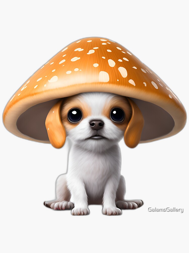 Mushroom for hot sale dogs