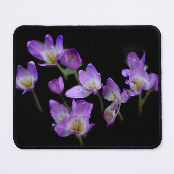 Item preview, Violet flowers on black background designed and sold by olena2552.