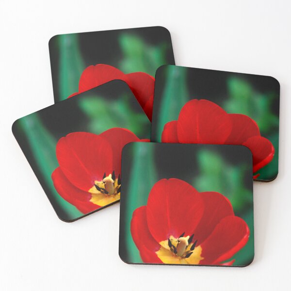 Aperçu de l'œuvre Tulipe rouge sur fond noir créée et vendue par olena2552.