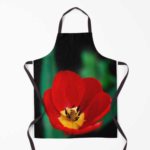 Artikelvorschau, Rote Tulpe auf schwarzem Hintergrund entworfen und verkauft von olena2552.