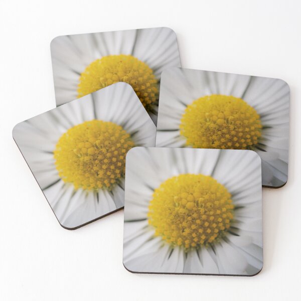Item preview, Daisy designed and sold by photobytableau.