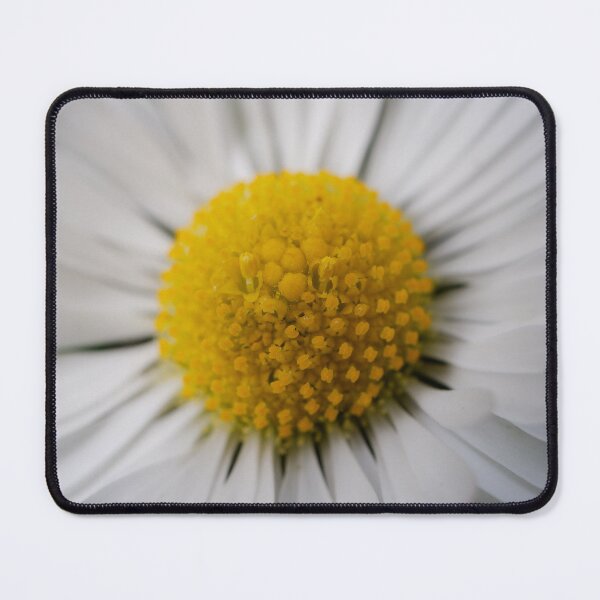 Item preview, Daisy designed and sold by photobytableau.