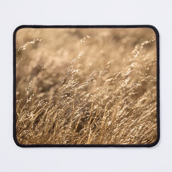 Item preview, Grass field shines in the evening sun designed and sold by yobab.