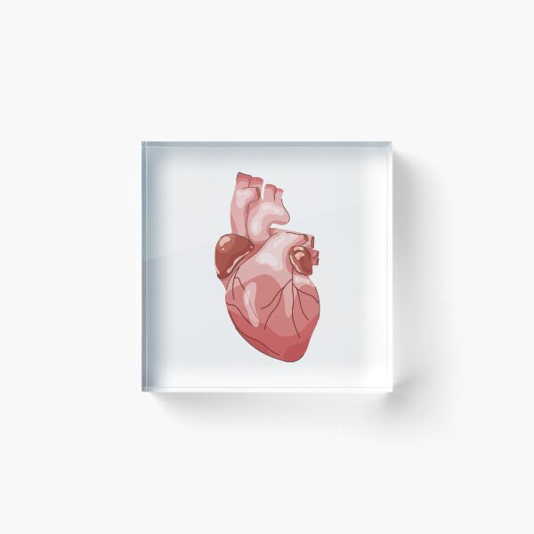 Item preview, Anatomically correct heart designed and sold by SoykAart.