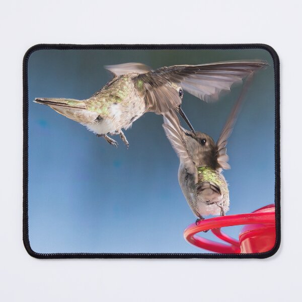 Item preview, Trouble at the Feeder designed and sold by CarolM.