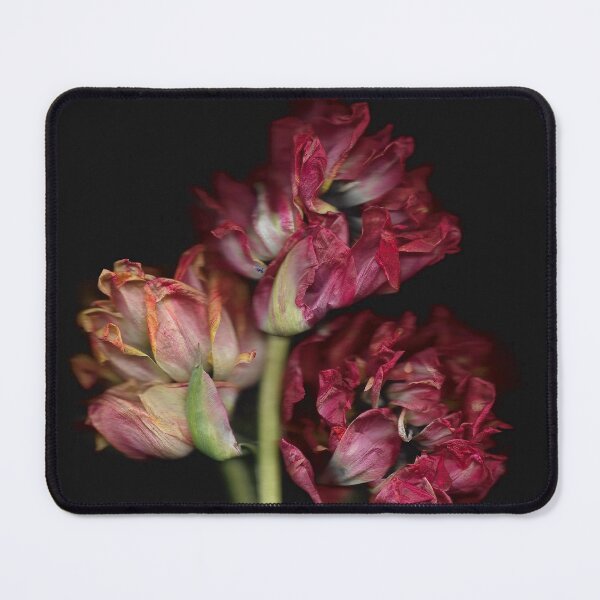 Item preview, 3 Tulips Wilting In The Dark designed and sold by lmocimages.