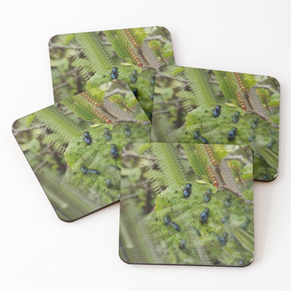 Item preview, Beetles ? designed and sold by Artie297.