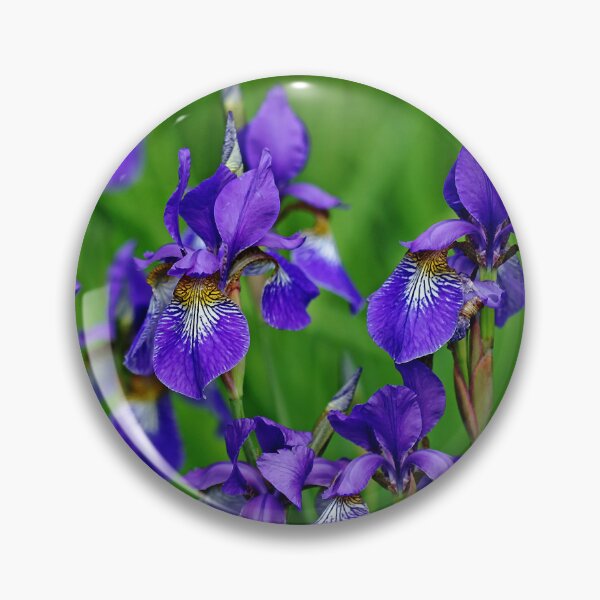Item preview, Iris Bouquet designed and sold by Debbie Oppermann.