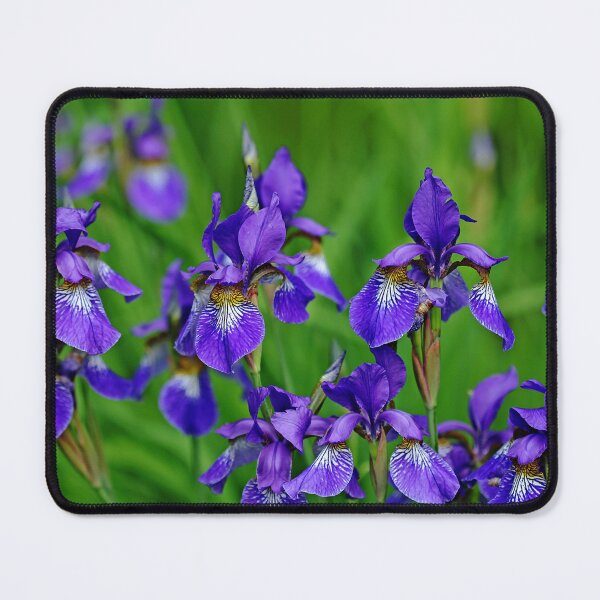 Item preview, Iris Bouquet designed and sold by Debbie Oppermann.