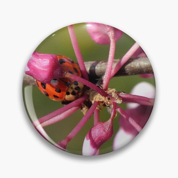Item preview, Flowering Redbud with Ladybug designed and sold by Frankie Cat Photography.