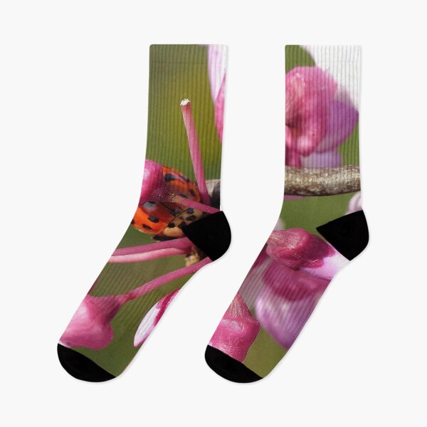 Item preview, Flowering Redbud with Ladybug designed and sold by Frankie Cat Photography.
