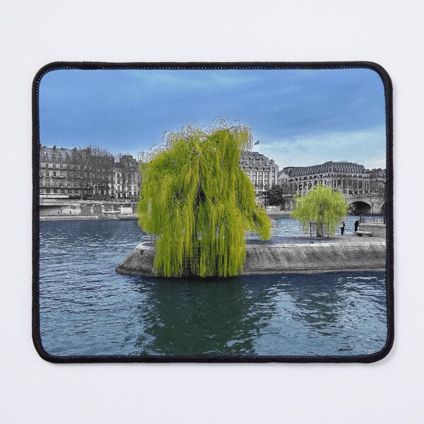 Item preview, The weeping tree by the Seine, Paris, France.2023 designed and sold by WDBD.