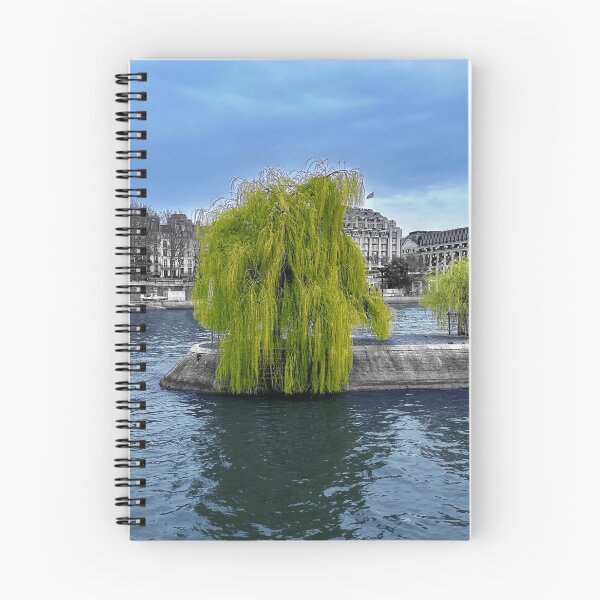 Aperçu de l'œuvre L'arbre qui pleure au bord de la Seine, Paris, France.2023 créée et vendue par WDBD.