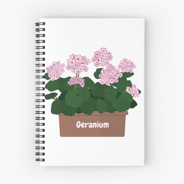 Item preview, Pink Geranium Flowers in the Pot  designed and sold by silviaol.