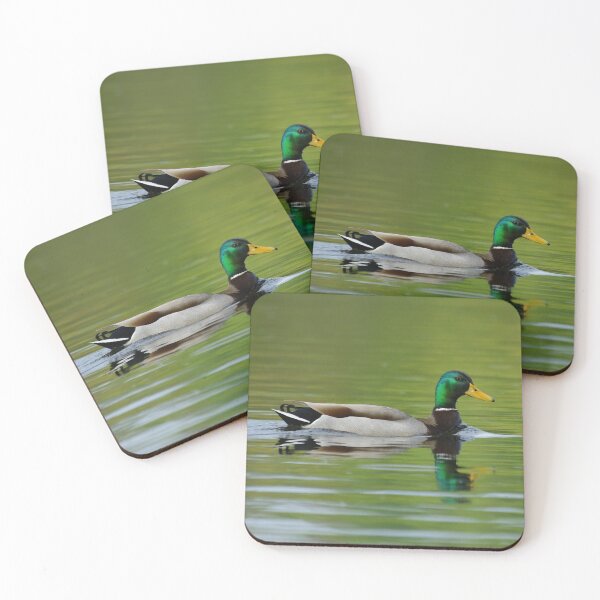 Item preview, Mallard  designed and sold by WWbugsandslugs.