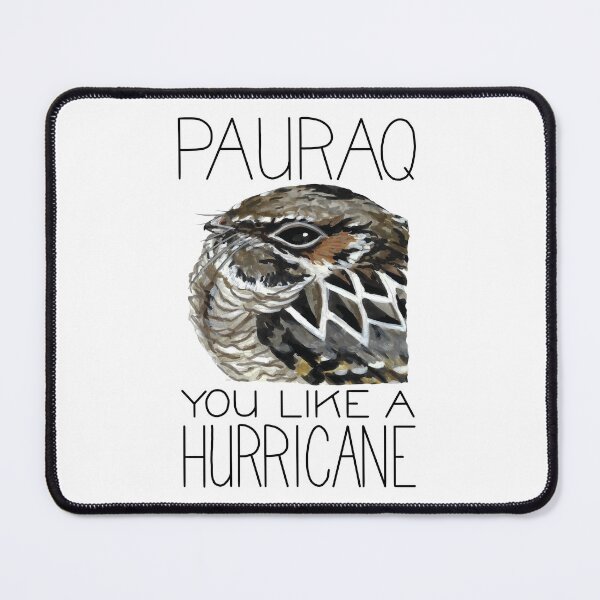 Item preview, Pauraq You Like a Hurricane (Common Pauraque) designed and sold by LauraWolfArtist.