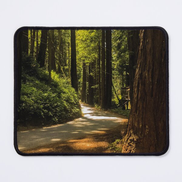 Item preview, Big Sur Redwood Trees designed and sold by CasaCustoms.