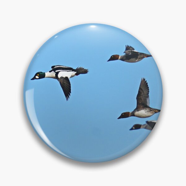 Item preview, High Flyers designed and sold by fototaker Tony.