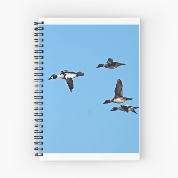 Item preview, High Flyers designed and sold by fototaker Tony.