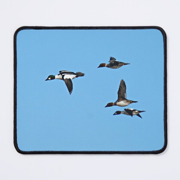 Item preview, High Flyers designed and sold by fototaker Tony.