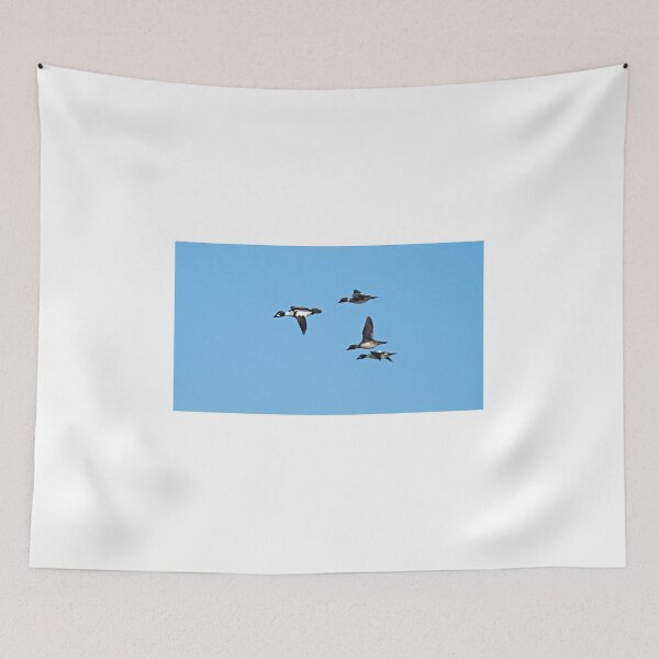 Item preview, High Flyers designed and sold by fototaker Tony.