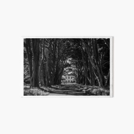 Framed Photo Print of BALD CYPRESS TREES LAKE MARTIN LOUISIANA SWAMP BLACK  AND WHITE Print Picture Image Fine Art Photography Large Framed Print Wall  Decor Art For Sale Stock Photo Photograph High